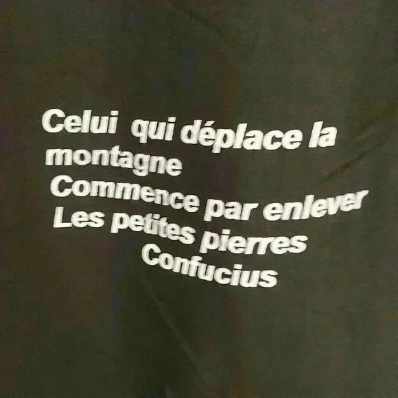 Tapestry scroll with chinese characters and french. - Picture 4 of 5